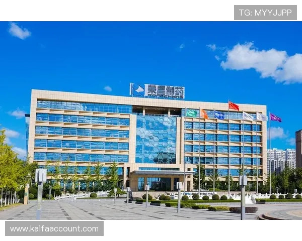 凯发集团会员注册不了的原因分析与详细解决方案指南